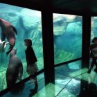 Nausicaa : Aquarium of Boulogne sur mer