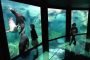 Nausicaa : Aquarium de Boulogne sur mer