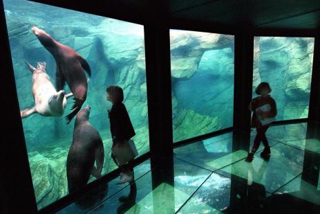 Aquarium Nausicaa