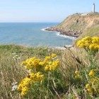 Cap Gris Nez