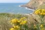 Cap Gris Nez